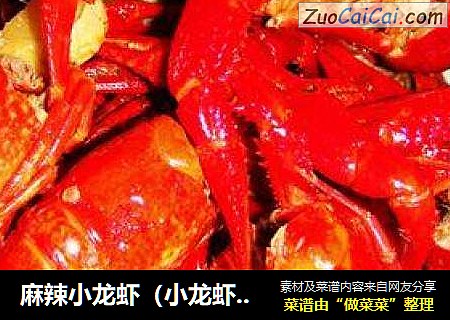 麻辣小龙虾（小龙虾最佳加工方法的详解图）