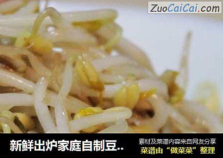 新鲜出炉家庭自制豆芽-爽口豆芽
