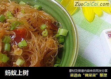 蚂蚁上树