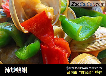 辣炒蛤蜊