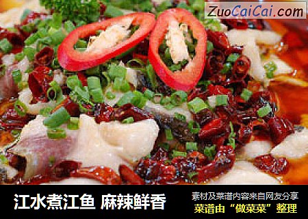 江水煮江鱼麻辣鲜香