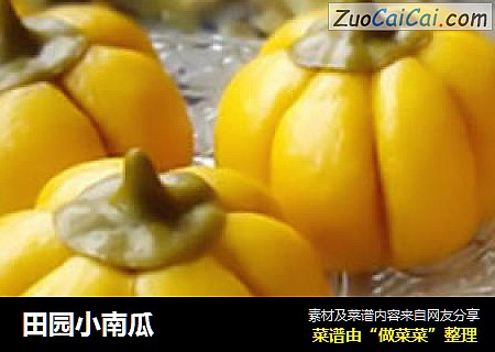 田园小南瓜