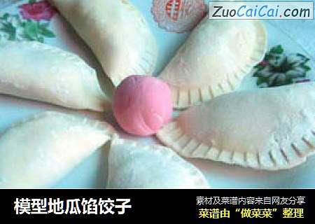 模型地瓜馅饺子