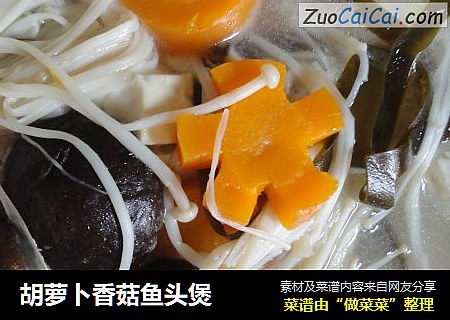 胡萝卜香菇鱼头煲