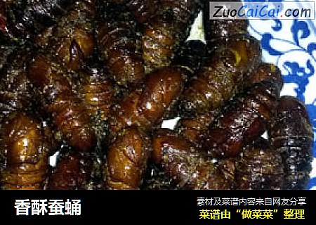 香酥蚕蛹