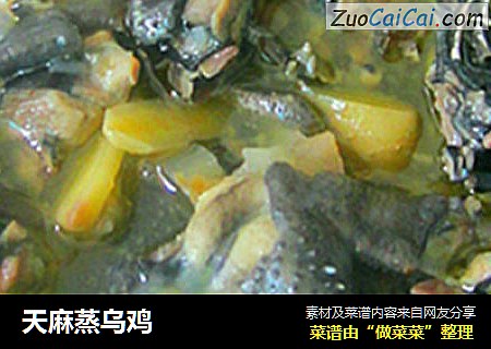 天麻蒸乌鸡
