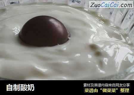 自制酸奶