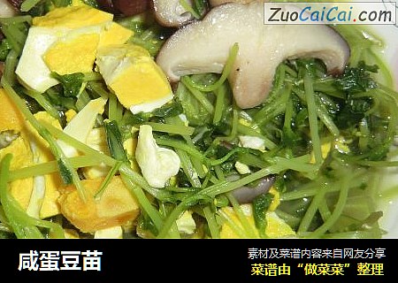 咸蛋豆苗