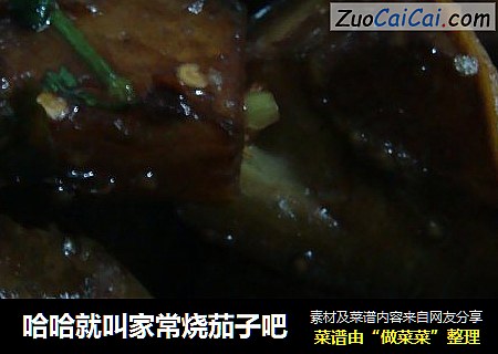 哈哈就叫家常烧茄子吧