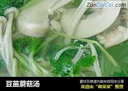 豆苗蘑菇汤