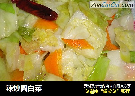 辣炒圆白菜