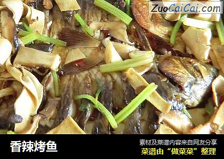 香辣烤鱼