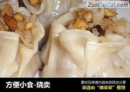 方便小食-烧卖
