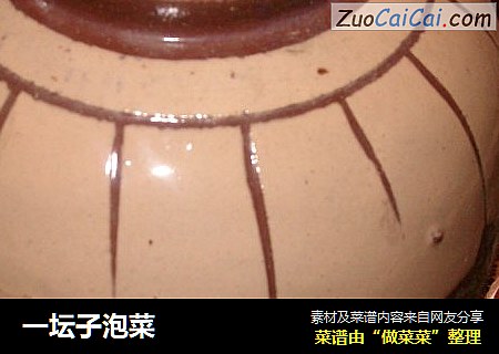 一坛子泡菜