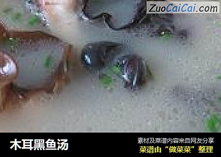 木耳黑鱼汤