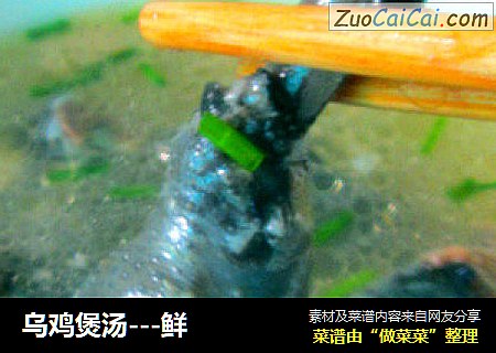 乌鸡煲汤---鲜