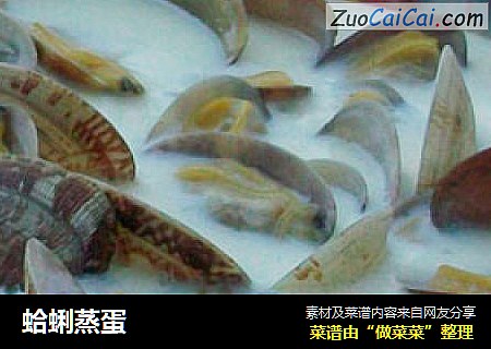蛤蜊蒸蛋
