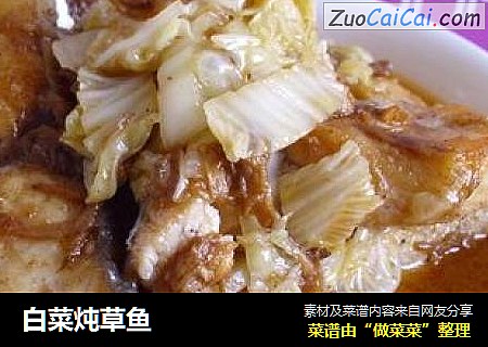 白菜炖草鱼