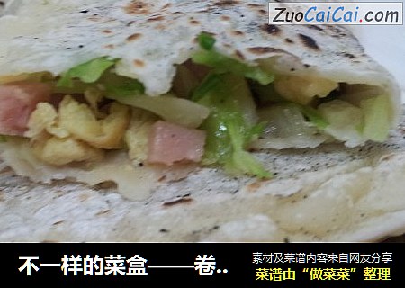 不一样的菜盒——卷心菜盒子