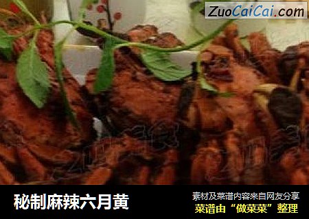 秘制麻辣六月黄