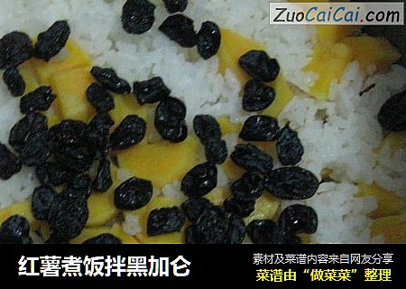 红薯煮饭拌黑加仑