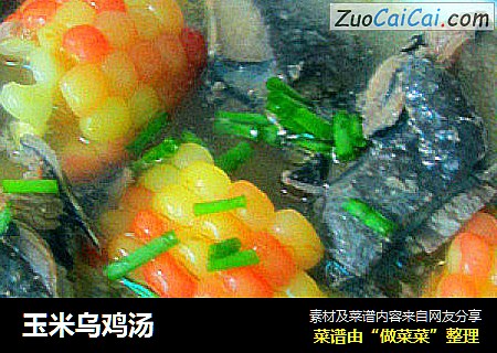 玉米乌鸡汤