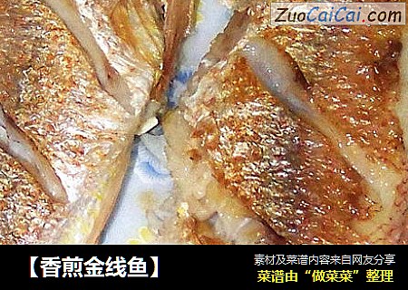 香煎金线鱼