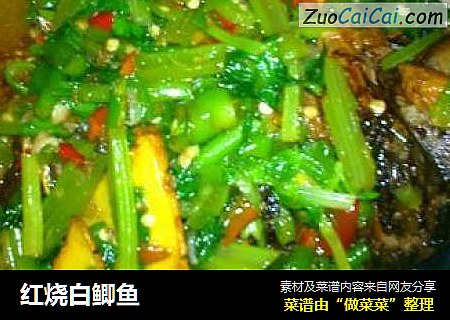 红烧白鲫鱼