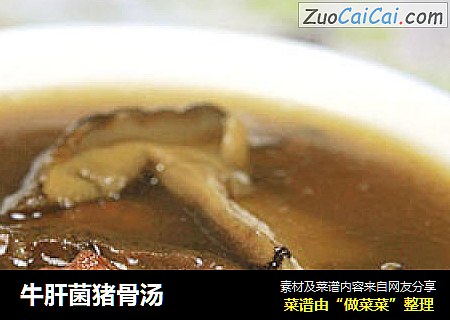 牛肝菌猪骨汤