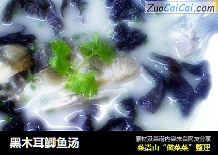 黑木耳鲫鱼汤
