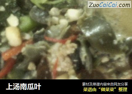 上汤南瓜叶