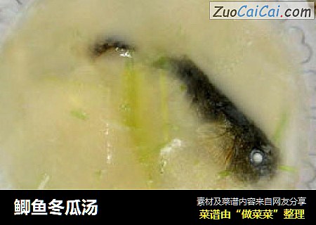 鲫鱼冬瓜汤