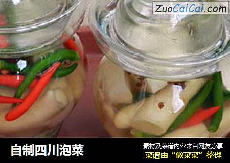 自制四川泡菜