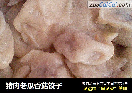 猪肉冬瓜香菇饺子
