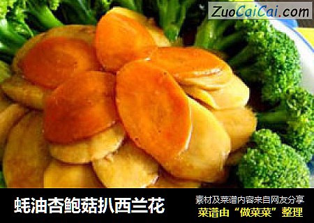 蚝油杏鲍菇扒西兰花