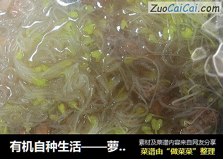 有机自种生活——萝卜菜粉丝肉沫清汤