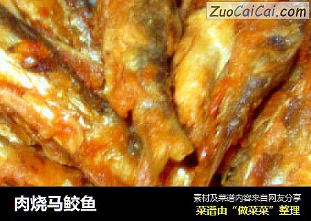 肉烧马鲛鱼
