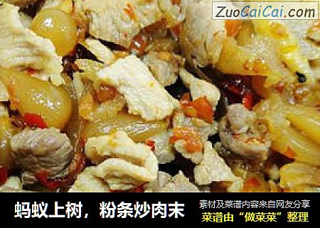 蚂蚁上树，粉条炒肉末