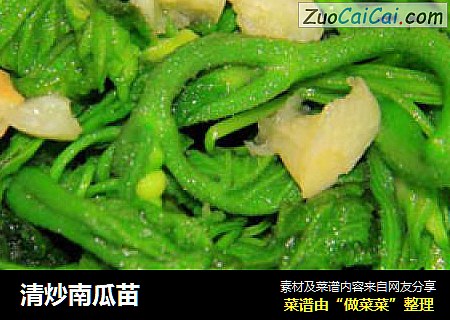 清炒南瓜苗