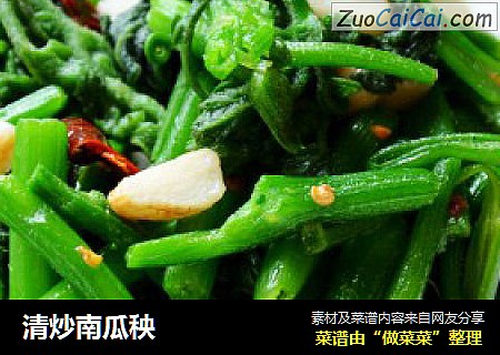 清炒南瓜秧