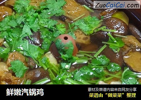 鲜嫩汽锅鸡
