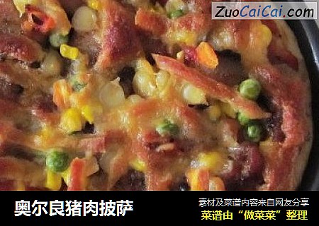 奥尔良猪肉披萨