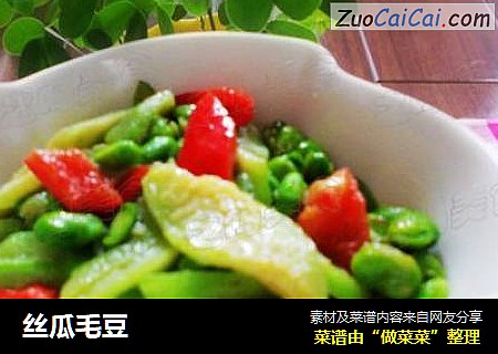 丝瓜毛豆