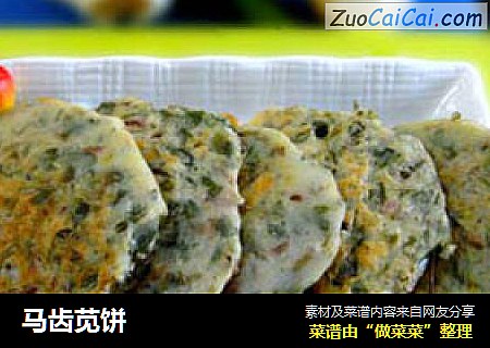 马齿苋饼