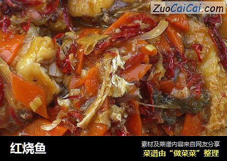 红烧鱼
