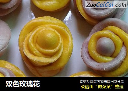 双色玫瑰花
