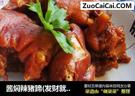 酱焖辣猪蹄(发财就手)