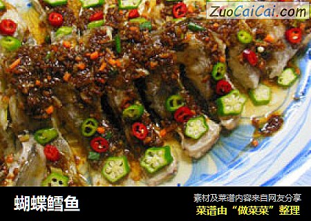 蝴蝶鳕鱼