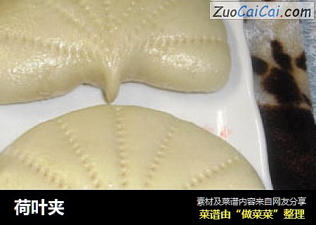 荷叶夹