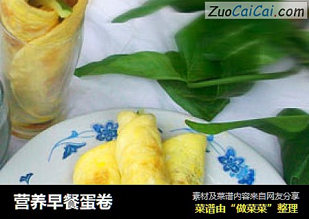 营养早餐蛋卷
